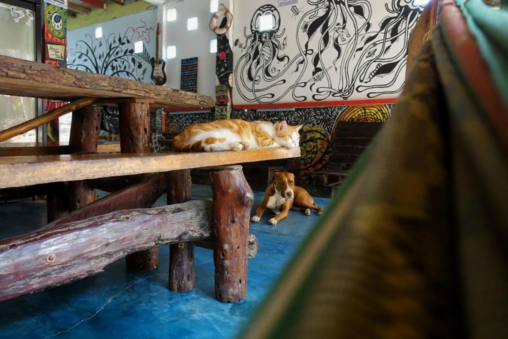 Casa Surf Mar Azul Ξενοδοχείο Palomino Εξωτερικό φωτογραφία