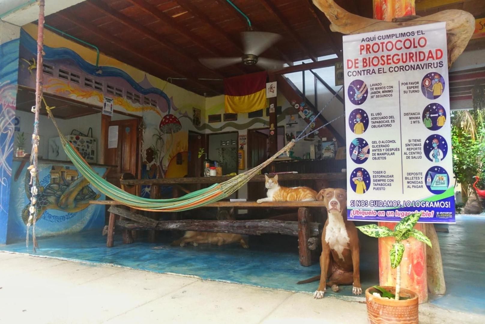Casa Surf Mar Azul Ξενοδοχείο Palomino Εξωτερικό φωτογραφία